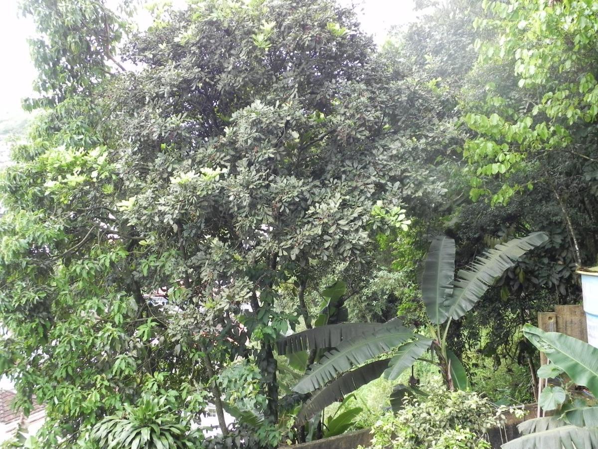 Aconchego Serra Imperial -201 Petrópolis Esterno foto